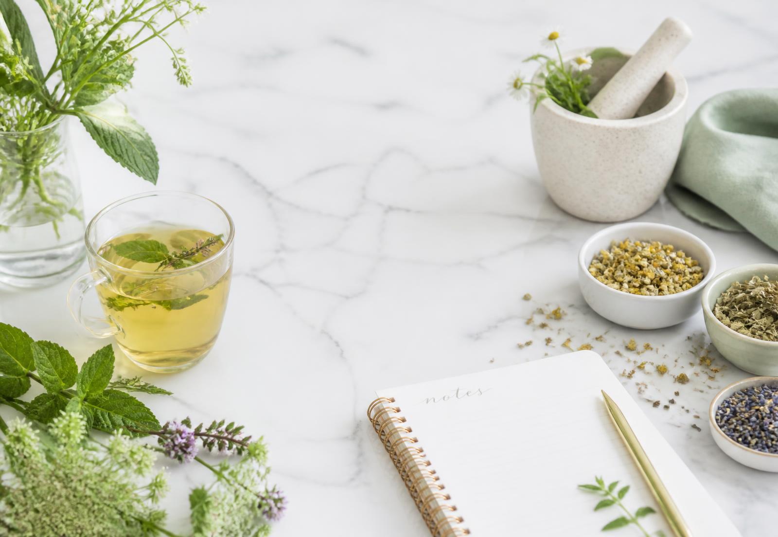 Plantes médicinales, infusion et carnet de notes sur un plan de travail clair